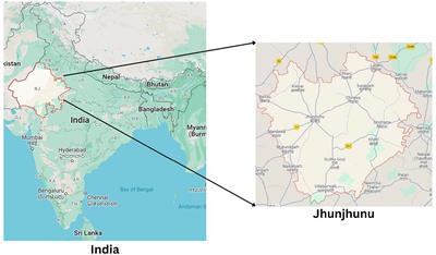 Accessing the behavior and awareness of veterinary professionals towards antimicrobials use and antimicrobial resistance in Indian district